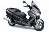 2009 Suzuki Burgman 200 photo